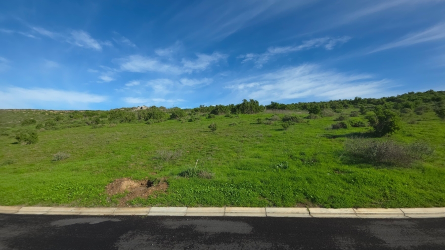 0 Bedroom Property for Sale in Welgedaan Estate Western Cape